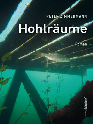 cover image of Hohlräume